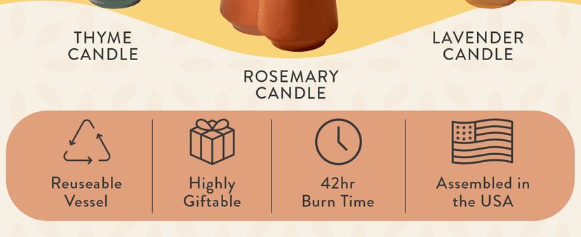 Modern Sprout Rooted Candle - 2 in 1 Cedarwood Scented & Soy Candle with Seeds That Grows into Lavender Plant - 6 oz w/ 42 hr Burn time in Matte Glaze Ceramic Vessel Ideal for Indoor Herb Garden