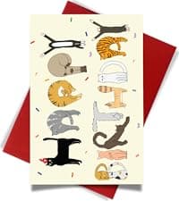 Cheerin Funny Greeting Card with Envelope - Anniversary Card - Romantic Birthday Card - Hilarious Gifts for Him Her Girlfriend Boyfriend Wife Husband