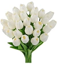 Light Up Preserved Red Rose Flower with Necklace,Birthday Gifts for Women,Christmas Rose Gifts for Her Mom Wife Grandma,Real Flower Mom Present for Women Christmas,Anniversary,Valentines