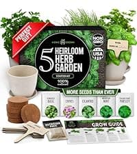 Bonsai Tree Kit - Gifts for Men & Women - Grow 4 Bonsai Trees - Unique Gardening Crafts for Adults, DIY Hobbies for Plant Lovers & Gardeners - Unusual Christmas Gift Ideas for Mom & Dad