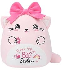 Jesus Stuffed Animal Religious Gifts - My Friend Jesus Plush Doll First Communion Stuffed Animal Bible Pillow Book Perfect for Kids' Gift Toy Pillows Blue 11 Inch