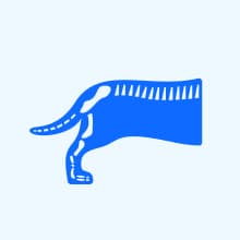 Wisdom Panel Premium Dog DNA Kit: Most Comprehensive with 265+ Health Tests, Identify 365+ Dog Breeds, 50+ Traits, Relatives, Ancestry, Genetic Diversity - Pack of 1