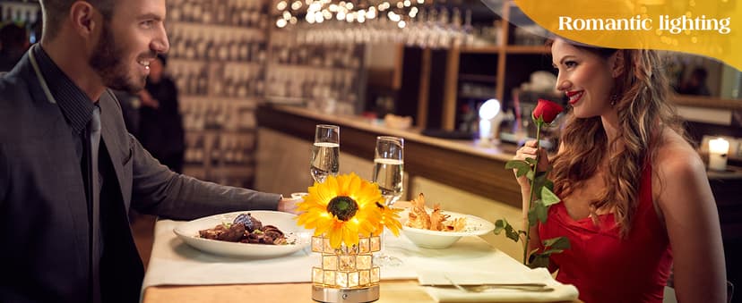 Sunflowers Flower Lamp,Rechargeable Cordless Touch Table Lamp,3-Colour Infinitely Dimming Small Night Light,Festival Restaurant Bedroom Bar Coffee Shop Birthday Gifts for Women Mom