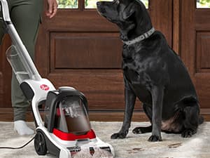 Hoover PowerDash Pet+ Compact Carpet Cleaner Machine, Lightweight Carpet Shampooer Machine, Pair with a Hoover Carpet Cleaner Solution for a Bright, Refreshed Home
