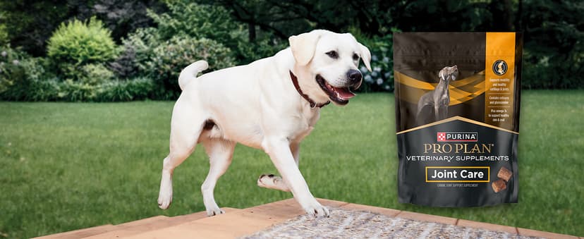 Purina Pro Plan Veterinary Supplements FortiFlora Dog Probiotic Supplement, Canine Nutritional Supplement - 30 ct. Box