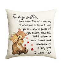 AVOIN colorlife to My Sister Throw Pillow Cover, 18 x 18 Inch Christmas Sister's Gift Lady Girls Birthday Cushion Case from Sister Brother