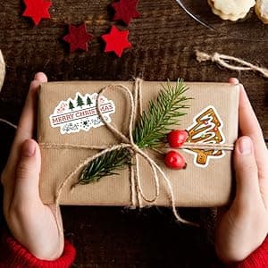 100PCS Christmas Theme Stickers, Non-Repeating Vinyl Waterproof Holiday Stickers, Holiday Gifts for Kids and Teens, Xmas Party Favorite, Stocking Stuffers for Kids Toddlers Teens Boys Girls