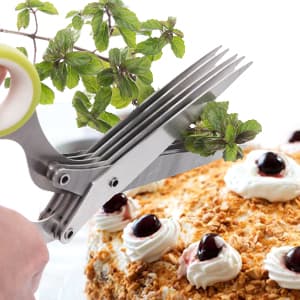 Herb Scissors, X-Chef Multipurpose 5 Blade Kitchen Herb Shears Herb Cutter with Safety Cover and Cleaning Comb for Chopping Basil Chive Parsley (Green)