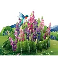 Lovepop Daisy Patch Hummingbirds Pop-Up Card, 5 X 7 Inch, Valentine's Day Gift, Cards for Mom, Thinking of You, Love Card