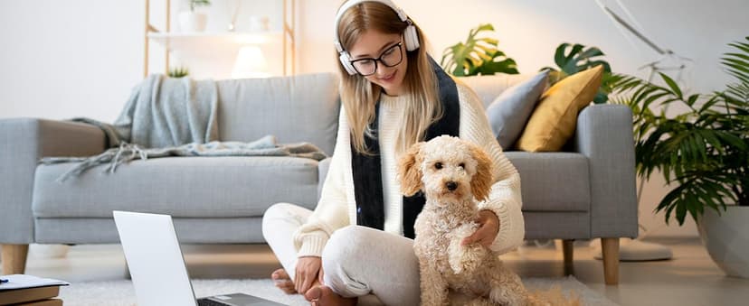 Genovega Women Men Heated Scarf with 6000mAh Battery,Portable Power Bank for Long Lasting Graphene Heating,Winter Warm Gifts