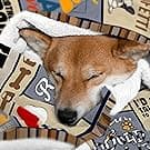 Dog Mom Gifts for Women, Dog Lovers Gifts, Presents for Dog Lovers/Moms Women, Doggie Blanket 50"x60", Presents from Doggie to Mom