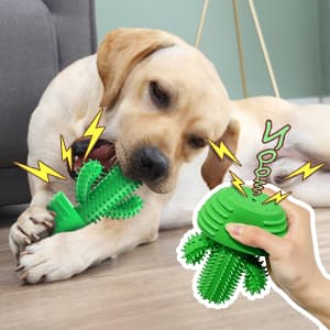 Dog Chew Toys Dog Toothbrush Stick Teeth Cleaning Brush Dental for Medium Large Dog, Puppy Christmas Easter Birthday Gifts, Outdoor Squeaky Toys for Aggressive Chewers Interactive Tough Toys