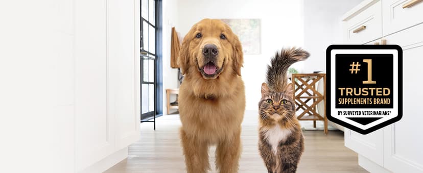 Purina Pro Plan Veterinary Supplements FortiFlora Dog Probiotic Supplement, Canine Nutritional Supplement - 30 ct. Box