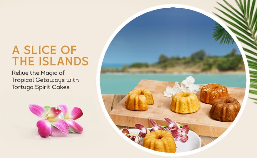 TORTUGA Provenance Rum Cake Variety Pack – 4 oz. - 6 Pack - The Perfect Premium Gourmet Gift for Stocking Stuffers, Gift Baskets, and Christmas Gifts - Great Mini Cakes for Delivery