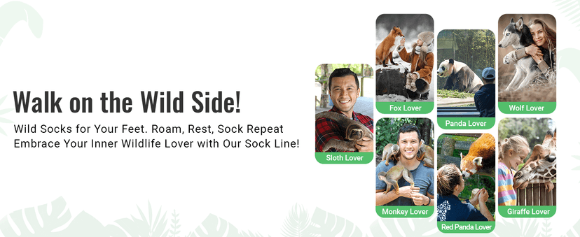 Funny Gift Ideas for Men Women - Koala Panda Socks for Teens, Koala Panda Gifts, Novelty Silly Crazy Socks