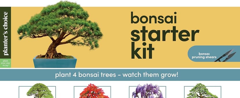 Bonsai Starter Kit - Gardening Easter Gift for Women & Men - Bonsai Tree Growing Garden Crafts Hobby Kits for Adults, Unique DIY Hobbies for Plant Lovers - Unusual Christmas Gifts Ideas