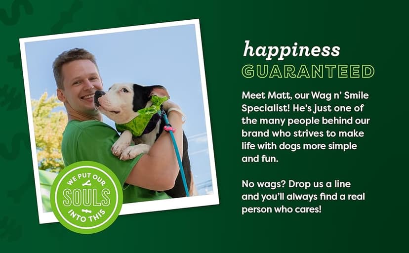 Benebone Medium 4-Pack Dog Chew Toys for Aggressive Chewers, Made in USA, 60lbs and Under