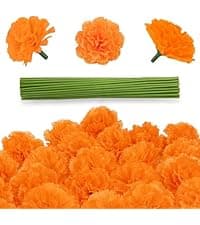 Light Up Preserved Red Rose Flower with Necklace,Birthday Gifts for Women,Christmas Rose Gifts for Her Mom Wife Grandma,Real Flower Mom Present for Women Christmas,Anniversary,Valentines