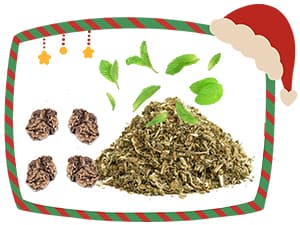 Retro Shaw Christmas Cat Toys, Xmas Catnip Toys for Indoor Kitten Kitty, Safe Kitten Teeth Cleaning Toy, Interactive Cat Chew Kitty Kicker Toy Santa Claus