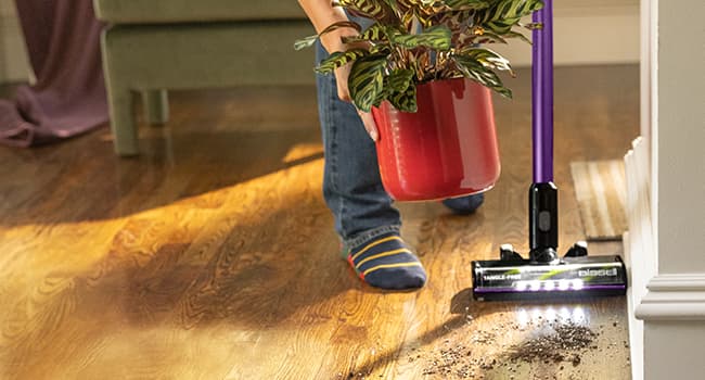 Bissell Cleanview XR Pet 300W Cordless Vacuum with Removable Battery, 3797V