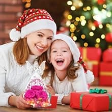 Mothers Day Mom Gifts for Women Preserved Flowers in Glass Angel Forever Flowers Gifts Eternal Roses Gifts for Grandma - Red