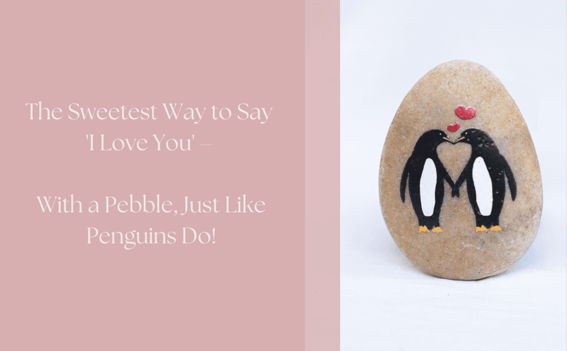 1 Year Anniversary for Boyfriend or Girlfriend - Penguin Pebble Gift- First Wedding Anniversary for Husband or Wife - One Year Together Keepsake