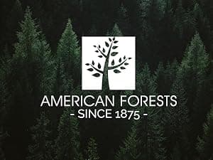 Citizen Men's Eco-Drive Weekender Brycen Chronograph Watch Stainless Steel Case