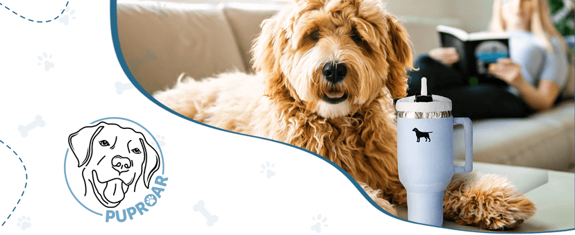 Pup Cup Tumbler Dog Toy – Birthday Dog Toy, Funny Squeaky Plush Puppy Gift, Cute Birthday Present (Pink Peach Dust)