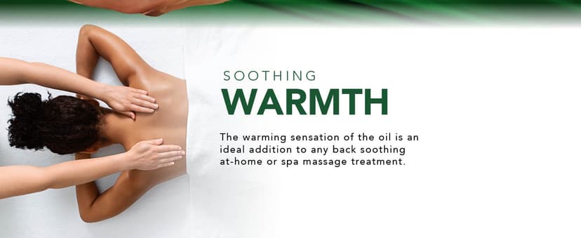 Cosmetasa Sore Muscle Massage Oil for Massage Therapy with Roller - All Natural, Cruelty-Free Massage Oils for Muscle Relaxing & Joint Comfort - Arnica Extract with Lavender & Chamomile Oil (8.8 oz)