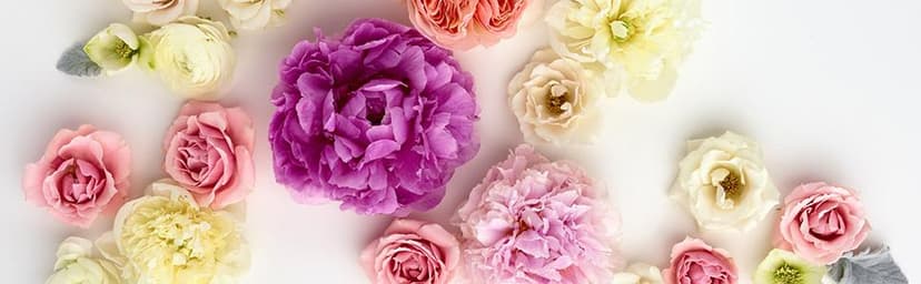 Hallmark Signature 7" Medium Gift Bag with Tissue Paper (Hooray; Gold with Pink, Teal, Purple Confetti) for Bridal Showers, Graduations, Retirements and More