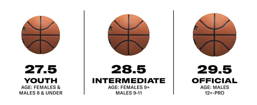 Wilson NCAA Street Shot Basketballs - 29.5", 28.5", 27.5"