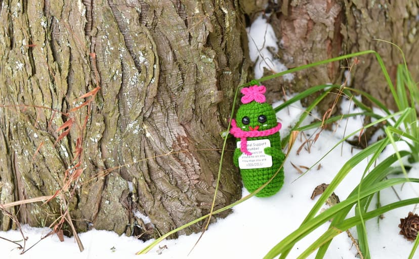 Funny Crochet Pickles 1 Pcs with Affirmations Cards for Inspirational Novelty Good Luck Gift and Party Decorations (KK-CKD04- REDCUM)