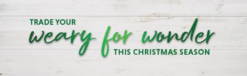 The Gifts of Christmas: 25 Joy-Filled Devotions for Advent