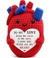 Mini Gifts for Him Her Couple Christmas Valentine’s Day To My Love Handmade Crochet Anatomical Heart Love Gift for Women Boyfriend Girlfriend Husband Wife Anniversary Christmas Valentines Birthday