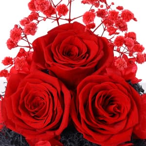 Christmas Rose Gifts for Women Preserved Real Flower in Glass Angel Figurines Roses for Delivery Prime Birthday Gifts for Mom Grandma Girlfriend Wife Her - Purple