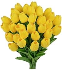 Light Up Preserved Red Rose Flower with Necklace,Birthday Gifts for Women,Christmas Rose Gifts for Her Mom Wife Grandma,Real Flower Mom Present for Women Christmas,Anniversary,Valentines