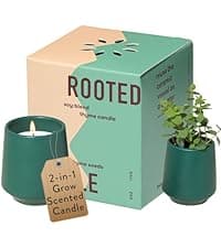 Modern Sprout Rooted Candle - 2 in 1 Cedarwood Scented & Soy Candle with Seeds That Grows into Lavender Plant - 6 oz w/ 42 hr Burn time in Matte Glaze Ceramic Vessel Ideal for Indoor Herb Garden