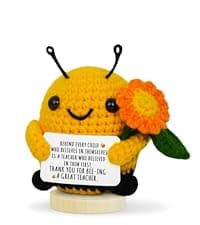 OASSIE Teacher Gifts for Women - Mini Handmade Positive Apple Crochet with Message Card - Teachers Day Christmas Birthday Graduation Appreciation Thank You School Gifts for Students Teachers Women