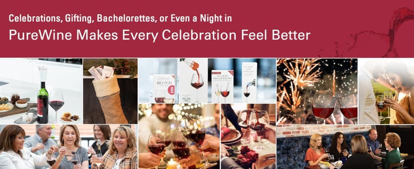 PureWine The Wand Wine Purifier - Red & White Wine Filters for Histamines & Sulfites, Sulfite Remover Sticks, Helps Allergies & Headaches, Gift Accessories for Women & Men - 3 Wands, Silver