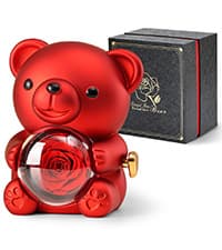 Gold Dipped Rose Real 24K Gold Rose, Genuine One of a Kind Rose Hand Dipped in 24K Golden Roses Romantic Gifts for Women in Her Birthday Anniversary Day Mothers Day