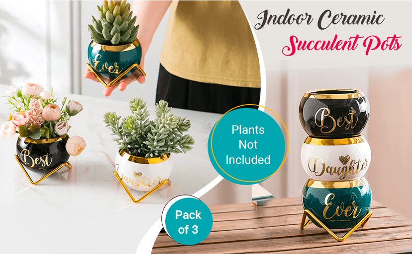 Daughter Gifts from Mom, Birthday Gift for Daughter, Mother Daughter Gifts, Happy Birthday Daughter, Best Daughter Ever Gift, Daughter In Law Gifts, Birthday Gifts for Daughter Adult, 3 Succulent Pots