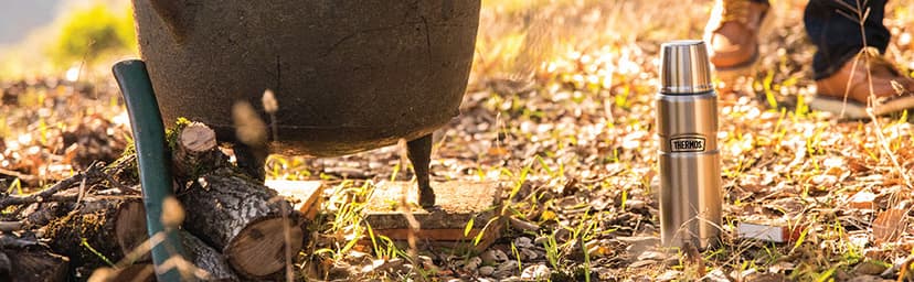 THERMOS Stainless King Vacuum-Insulated Compact Bottle, 16 Ounce, Matte Steel