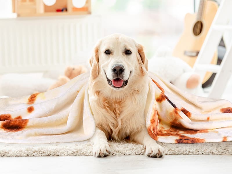 SeaRoomy Burritos Tortilla Blanket, Realistic Food Wrap Blanket Double Sided, Novelty Funny Tortilla Round Giant Soft Blankets (Beige, 47 inches)