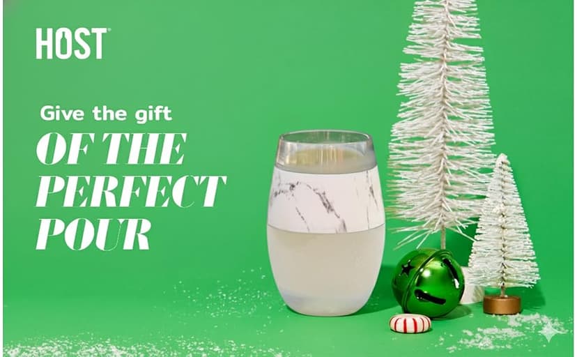 Host Wine Freeze Cup Set of 2 - Plastic Double Wall Insulated Wine Cooling Freezable Drink Vacuum Cup with Freezing Gel, Wine Glasses for Red and White Wine, 8.5 oz Coral