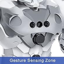 VAV Toys for 6-10 Year Old Boys Girls, Rechargeable Remote Control Robot Toy, Intelligent Programmable RC Robot with 2.4GHz Gesture Sensing, Christmas Birthday Gifts for Kids Age 6 7 8 9 10