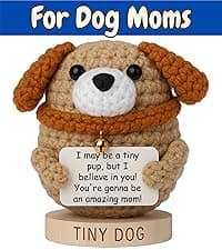 Happy Birthday Gift for Women - Tiny Cupcake With 30 Sweet Birthday Cards | Funny Gift Idea for Women for 16th, 21 Year Old, 30th Birthdays | Cute Bday Party Decor for Friends, Teens, Daughter, Sister