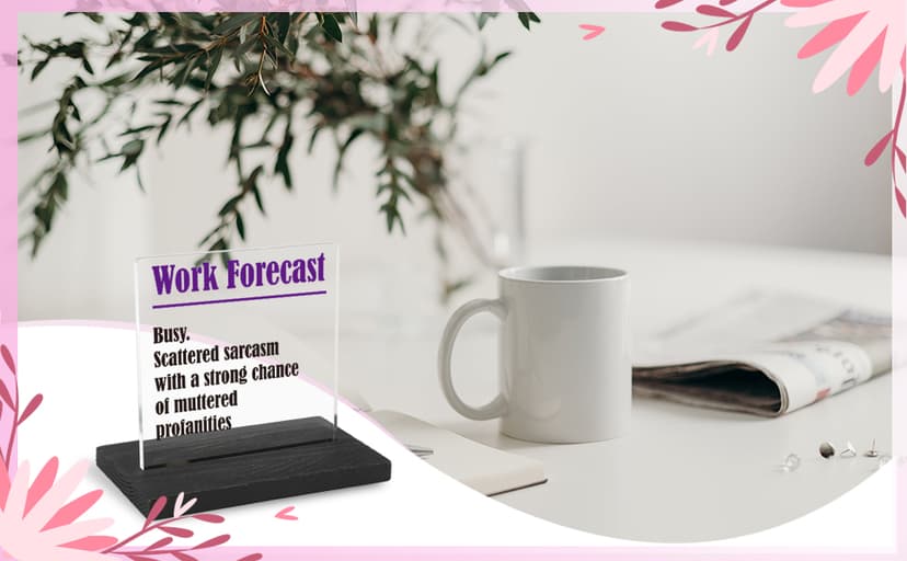 THRXOBN Cute Desk Decor for Coworker, Funny Profanity Gift for Work Colleague, Employee, Joke Birthday Office Gift for Coworker,Transparent Acrylic Desk Decoration, WYZ1
