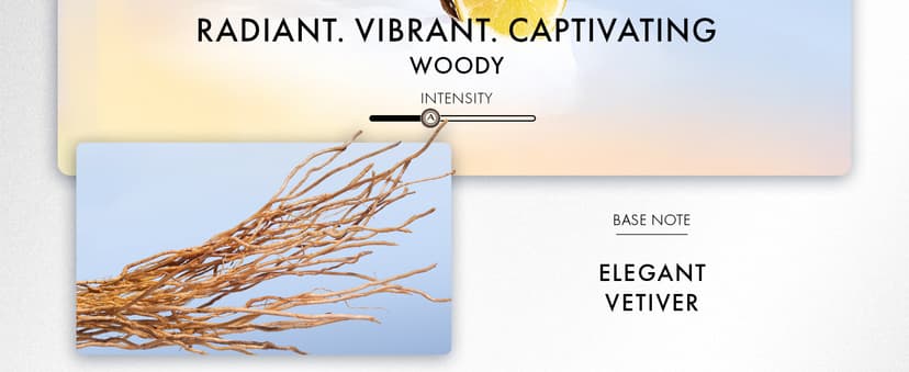 Azzaro Wanted Eau de Toilette - Vibrant & Irresistible Mens Cologne - Woody, Citrus & Spicy Fragrance - Fresh Notes of Cardamom, Lemon, Vetiver - Everyday Wear - Luxury Perfumes for Men