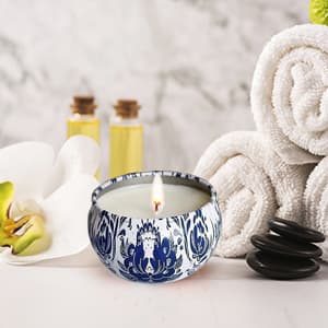 Scented Candles Gifts Set 16 Pack Soy Wax Travel Tin Jar Candles for Home 2.5 OZ for Mom for Christmas, Birthday, Thanksgiving, Mother's Day