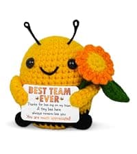 OASSIE Christmas Appreciation Gifts for Employee - Positive Turtle Crochet with Message Card - Thank You Birthday Team Stocking Stuffers Gifts for Coworkers Women Men, Office Desk Accessories Decor